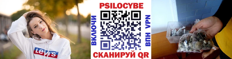 продажа наркотиков  Лагань  Псилоцибиновые грибы Psilocybine cubensis 